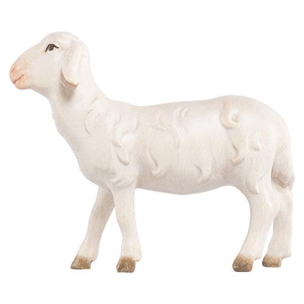 Schaf stehend Schaf stehend