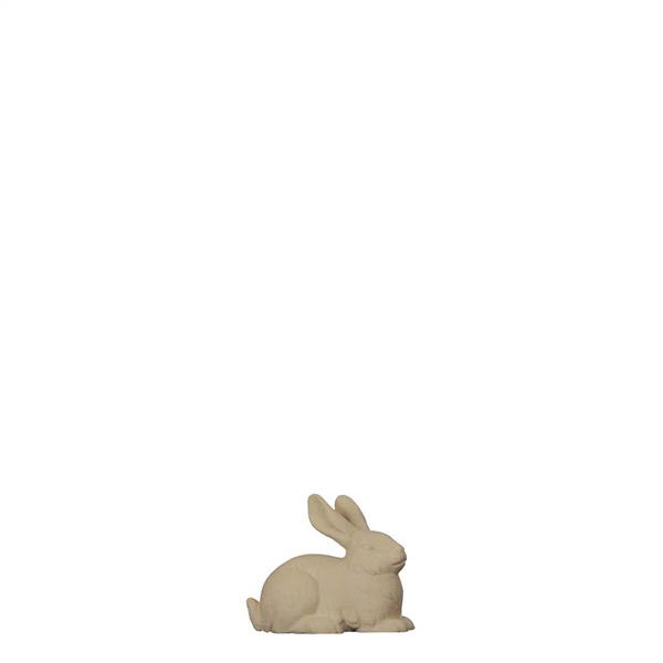 Hase mit gestreckten Ohren Hase mit gestreckten Ohren