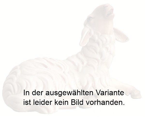 Schaf liegend und blökend