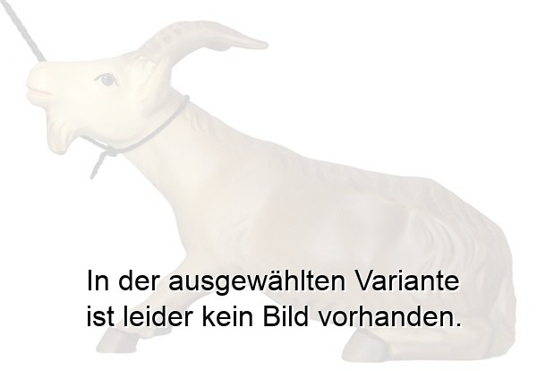 Starrköpfige Ziege