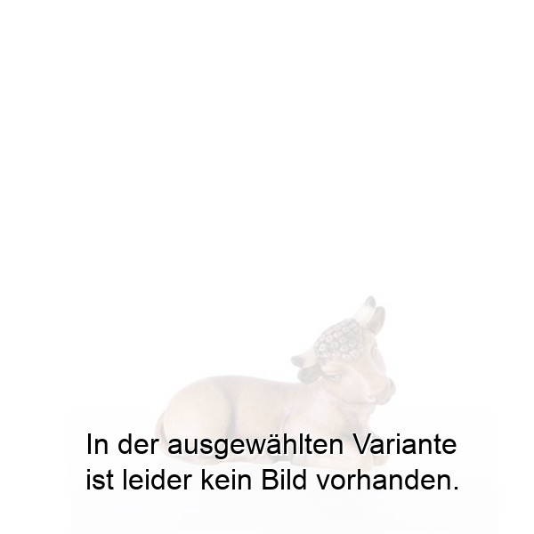 Ochs liegend