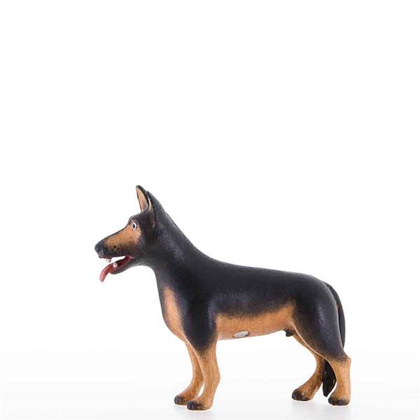 Schäferhund Schäferhund