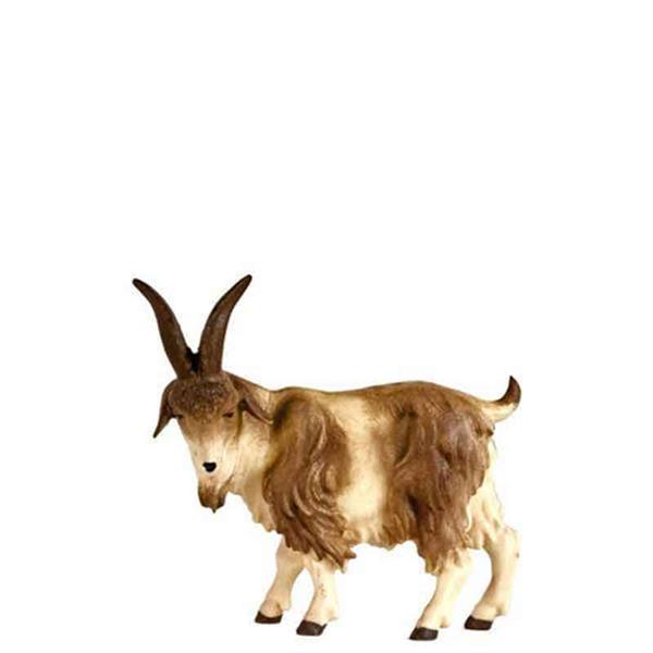 Ziegenbock Ziegenbock