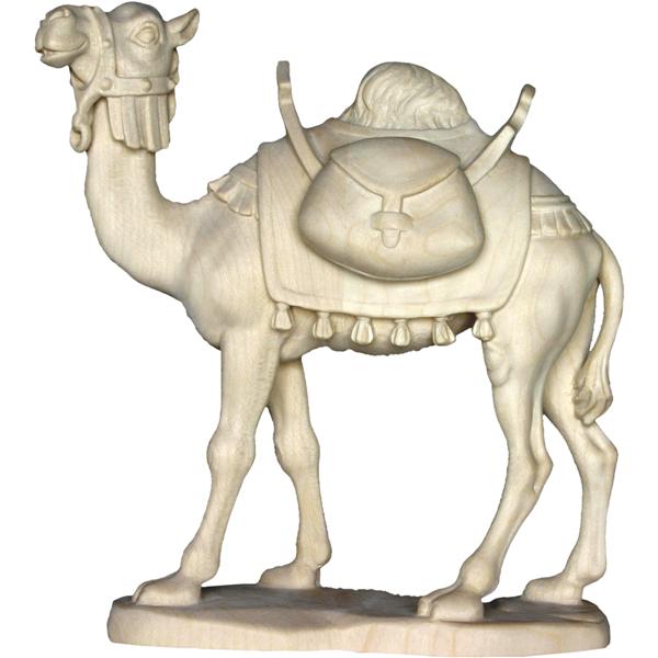 Kamel