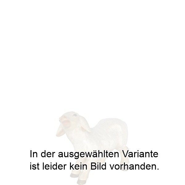 Lämmchen stehend