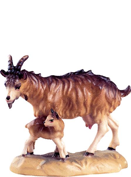 Ziege mit Kitz Ziege mit Kitz