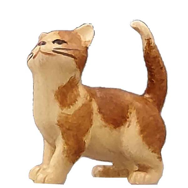 Katze stehend rot-braun Katze stehend rot-braun