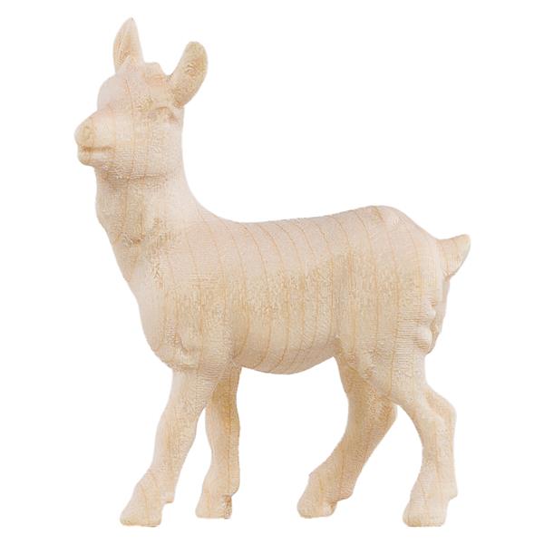 Ziegenkitz stehend Ziegenkitz stehend