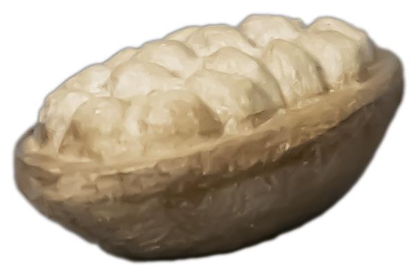 Erzschale Erzschale