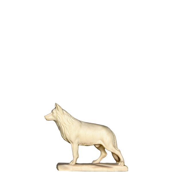 Schäferhund Schäferhund