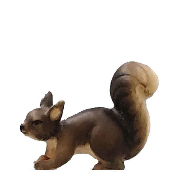 Eichhörnchen laufend grau Eichhörnchen laufend grau