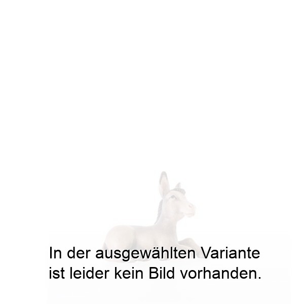 Esel