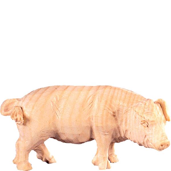 Schwein Schwein