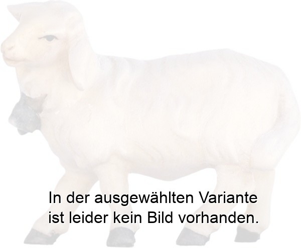 Schaf mit Glocke