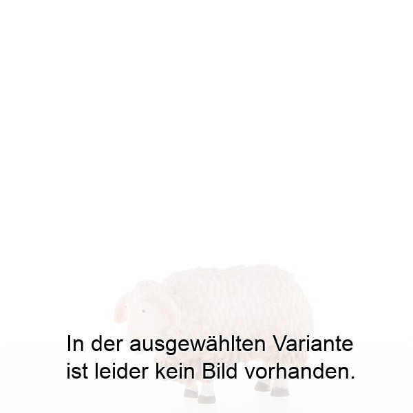 Schaf Schaf
