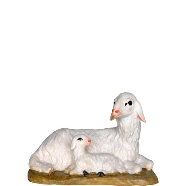 Schaf liegend Schaf liegend
