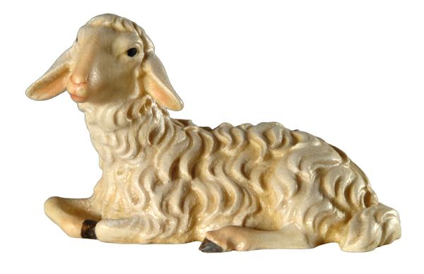 Schaf liegend Schaf liegend