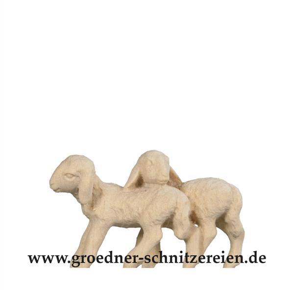 Lammgruppe Lammgruppe