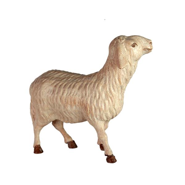 Schaf stehend