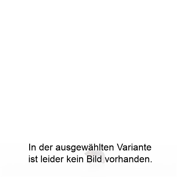 Igel nach oben schauend Igel nach oben schauend