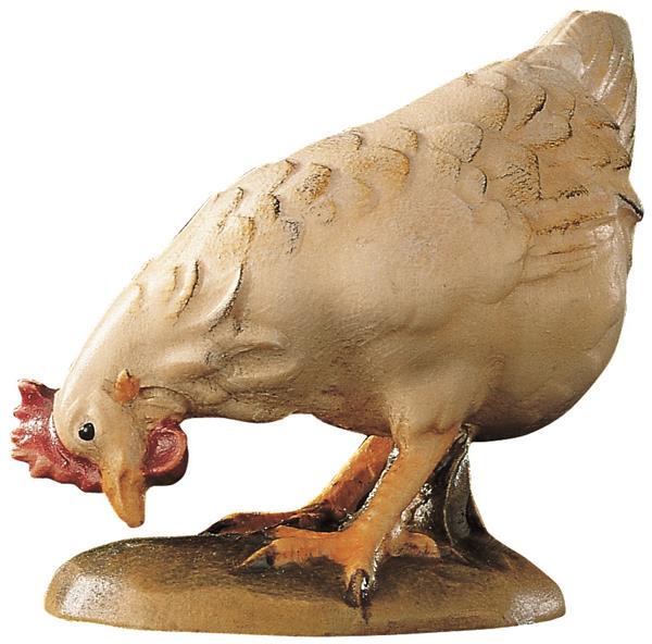 Henne pickend weiß Henne pickend weiß