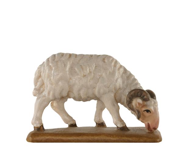 Schafbock Schafbock