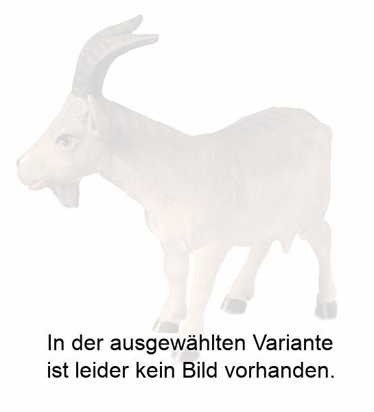 Ziege