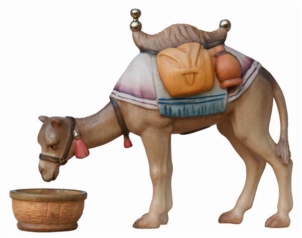 Kamel fressend mit Futterstelle Kamel fressend mit Futterstelle