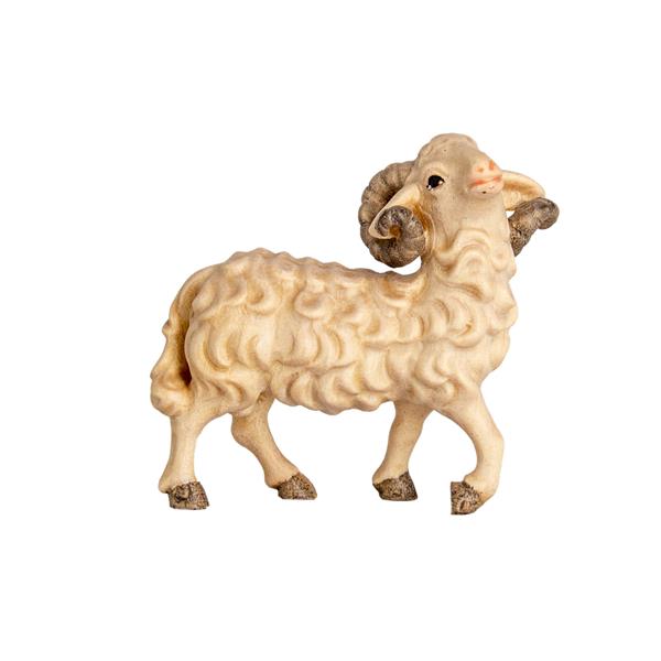 Schafbock Schafbock
