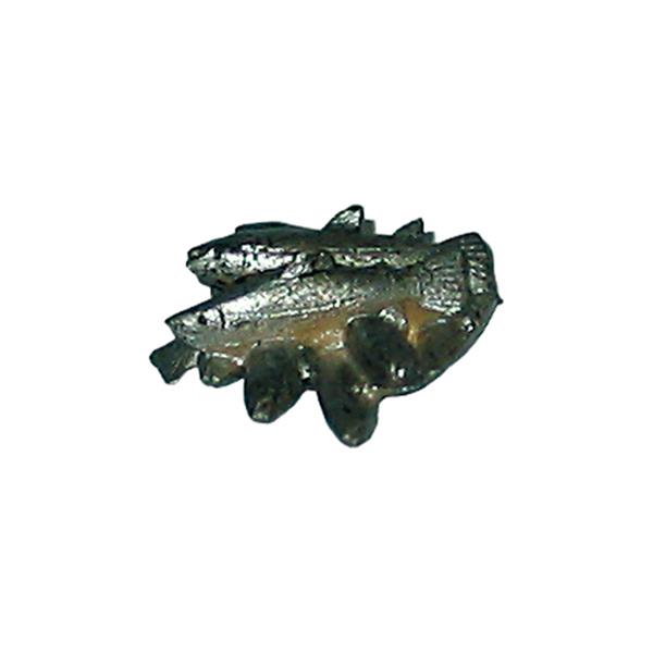 Fischgruppe Fischgruppe