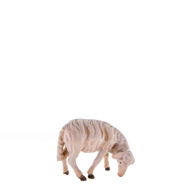 Schaf fressend Schaf fressend