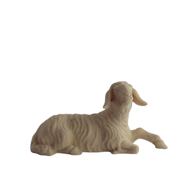 Schaf liegend Schaf liegend