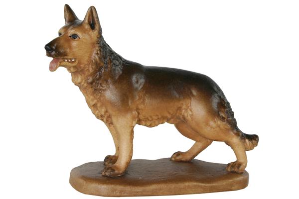 Hund stehend