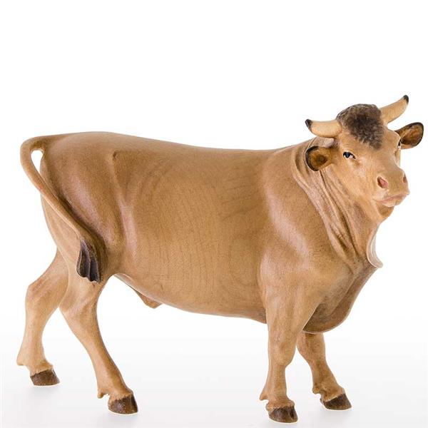 Ochs stehend Ochs stehend