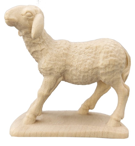 Schaf stehend Schaf stehend