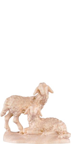 Lammgruppe Lammgruppe