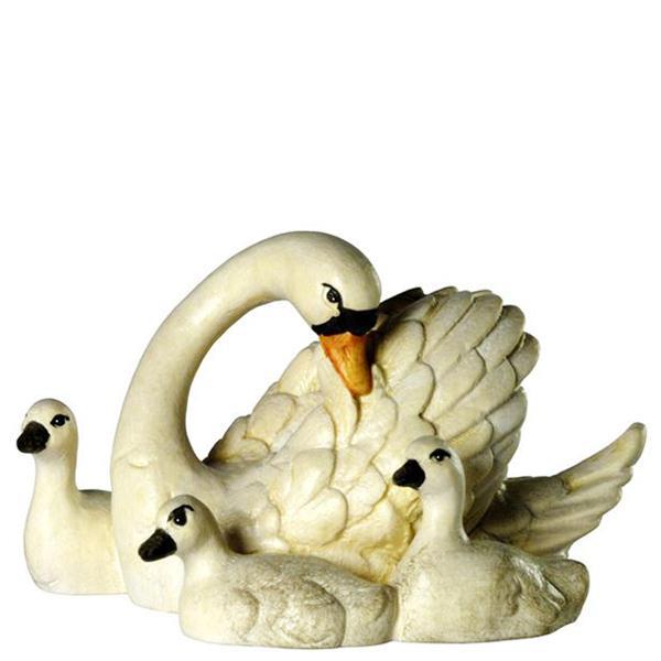 Schwan mit 3 Jungen Schwan mit 3 Jungen