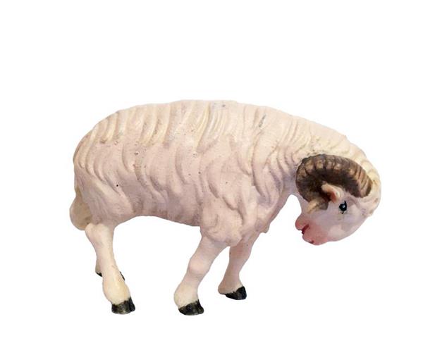 Schafbock weiß