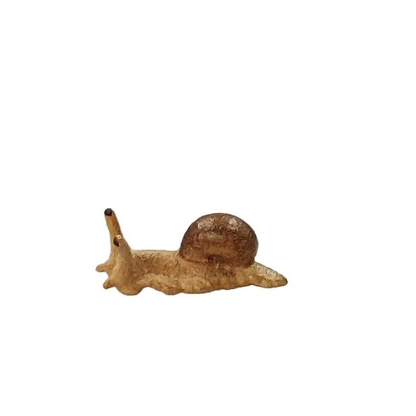 Grosse Schnecke Grosse Schnecke