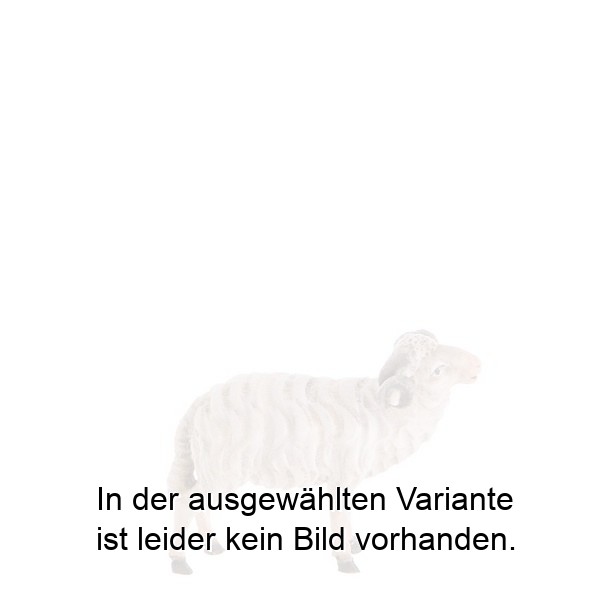 Widder Widder