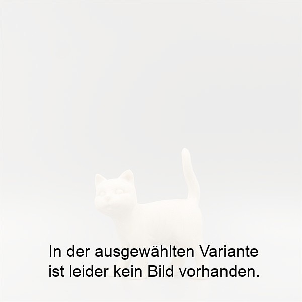 Katze links Katze links