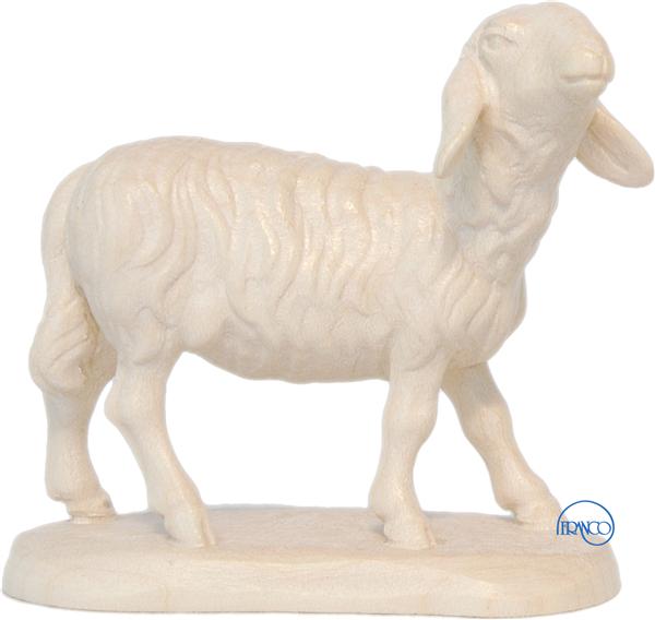 Schaf Kopf erhoben Schaf Kopf erhoben