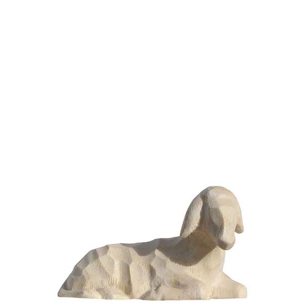 Schaf liegend Schaf liegend