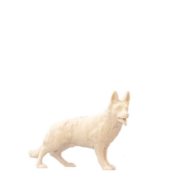 Schäferhund