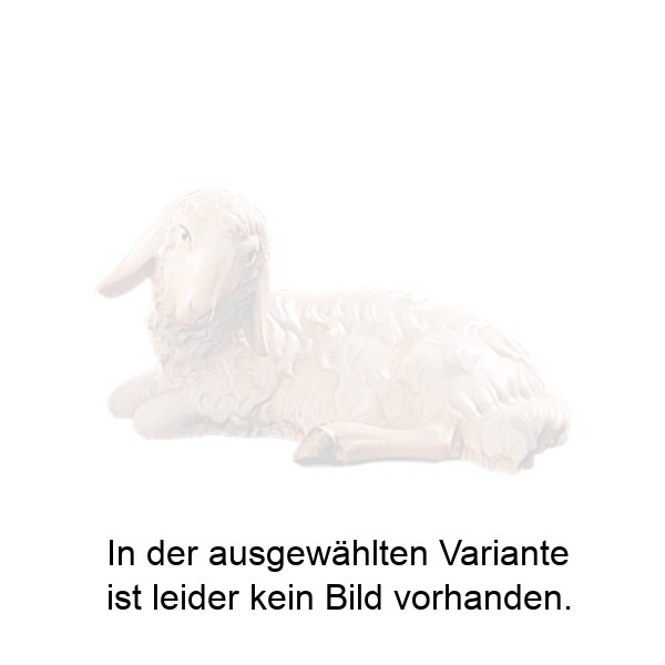 Schaf liegend Schaf liegend