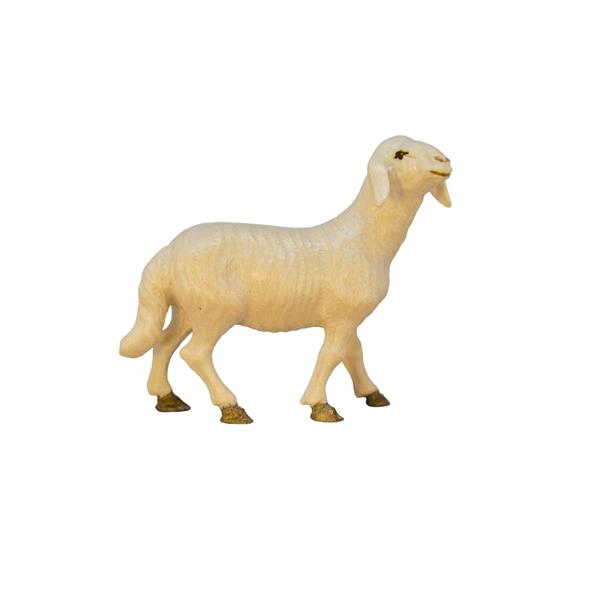 Schaf stehend Schaf stehend