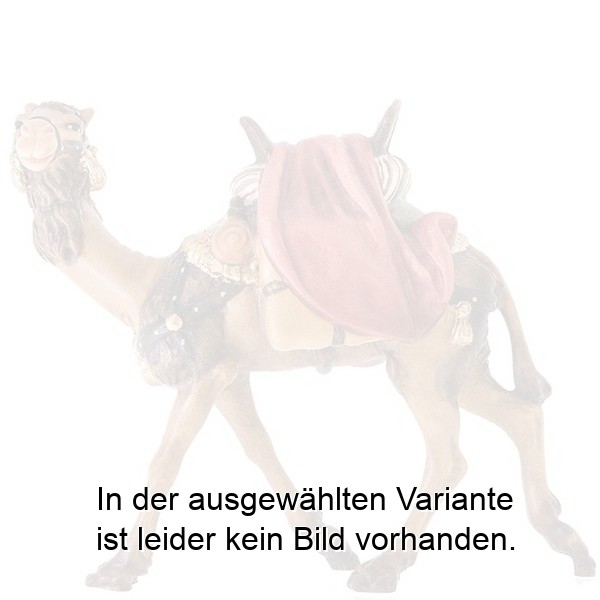 Kamel ohne Reiter Kamel ohne Reiter