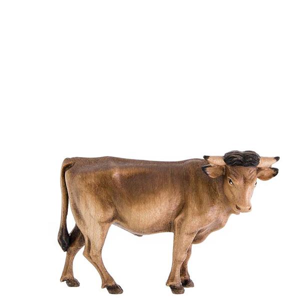 Ochs stehend Ochs stehend