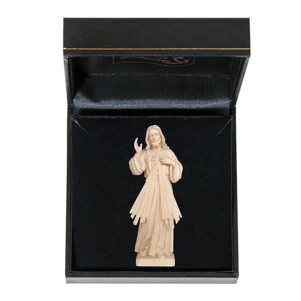 Jesus Barmherzigkeit mit Etui Jesus Barmherzigkeit mit Etui