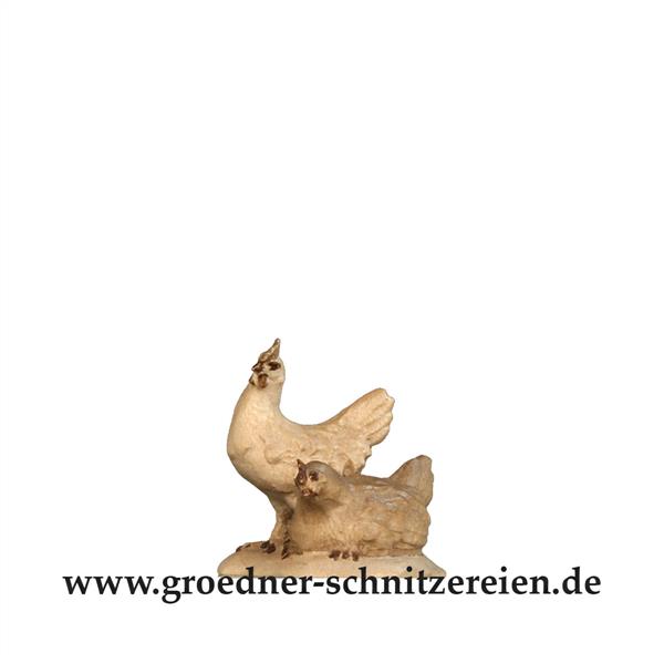 Hennengruppe Hennengruppe